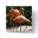Flock of Flamingos Square Pin