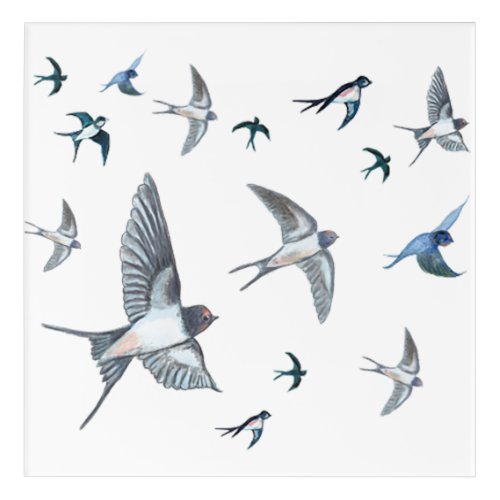 Flock Of Flying Swallow Birds Illustration Acrylic Print
