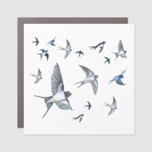 Flock Of Flying Swallow Birds Illustration Car Magnet