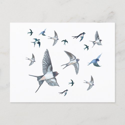 Flock Of Flying Swallow Birds Illustration Holiday Postcard