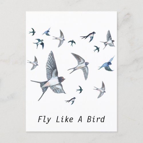 Flock Of Flying Swallow Birds Illustration Postcard
