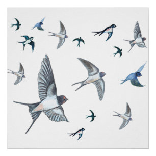 Flock Of Flying Swallow Birds Illustration Poster