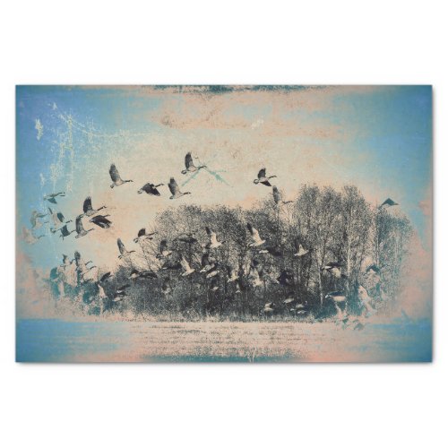 Flock Of Geese Blue Sepia Vintage Antique Texture Tissue Paper