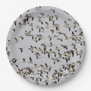 Flock of Geese in Flight Paper Plates