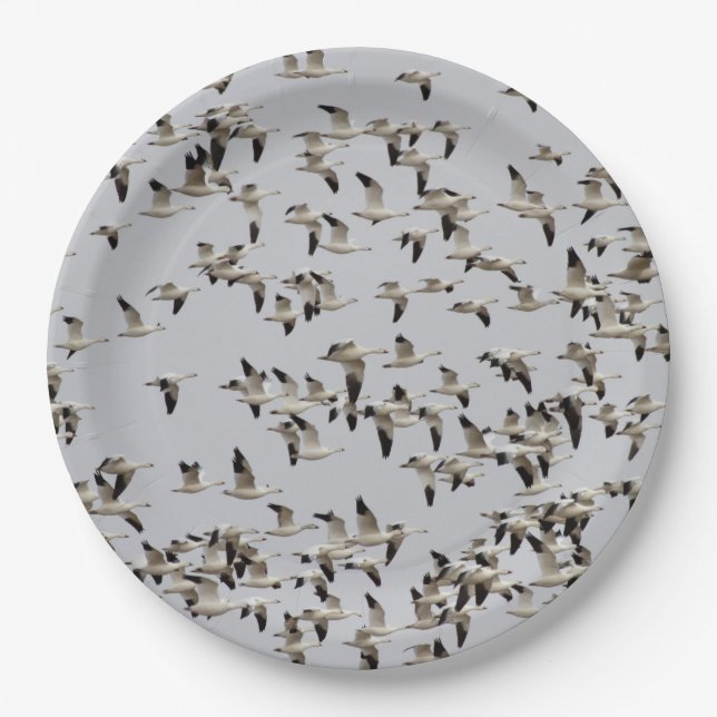 Flock of Geese in Flight Paper Plates (Front)