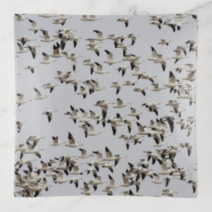 Flock of Geese in Flight  Trinket Tray