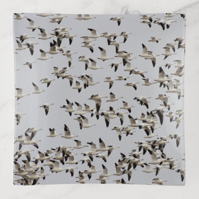 Flock of Geese in Flight  Trinket Tray (Front)