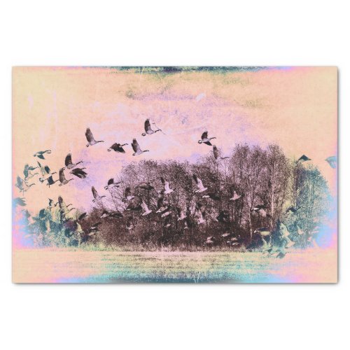 Flock Of Geese Pink Teal Vintage Antique Texture Tissue Paper