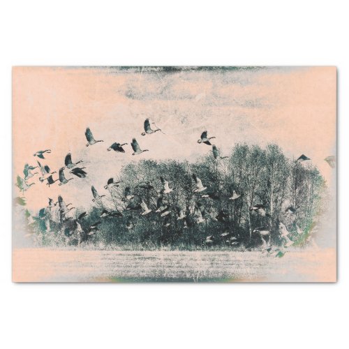 Flock Of Geese Vintage Antique Teal Beige Texture Tissue Paper