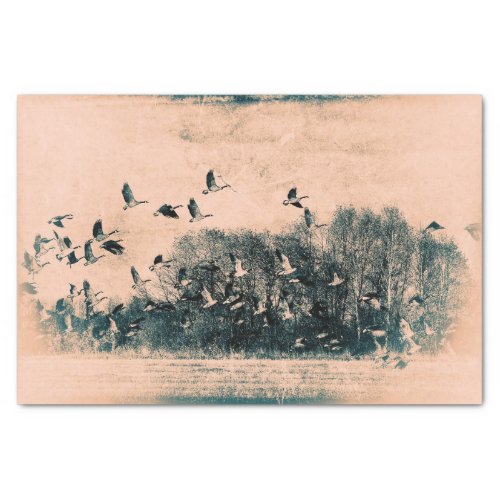 Flock Of Geese Vintage Antique Teal Sepia Texture Tissue Paper