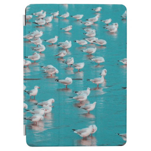 FLOCK OF GRAY BIRDS iPad AIR COVER