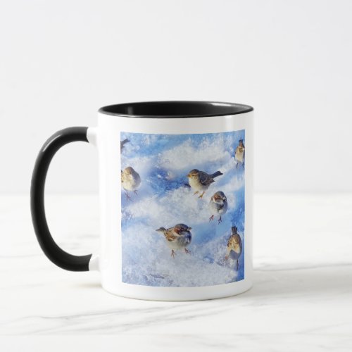 Flock of House Sparrows Passer domesticus on Mug