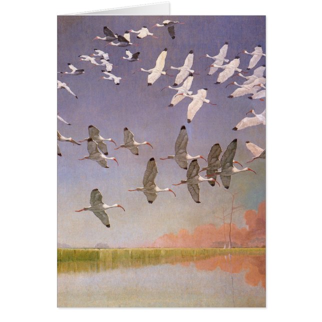 Flock of Ibis Flying Over Wetlands, Vintage Birds (Front)