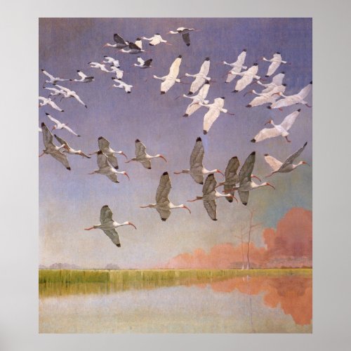 Flock of Ibis Flying Over Wetlands Vintage Birds Poster
