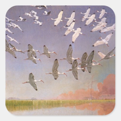 Flock of Ibis Flying Over Wetlands Vintage Birds Square Sticker