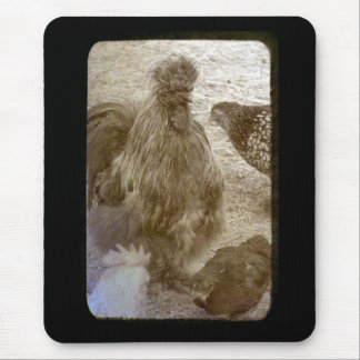 Flock of Many Colors Mouse Pad