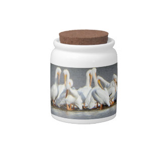 Flock of Pelicans Candy Jar