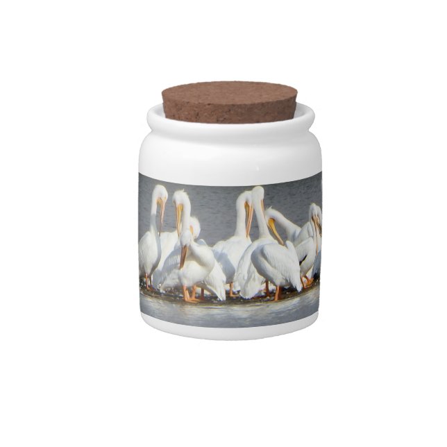 Flock of Pelicans Candy Jar (Front)