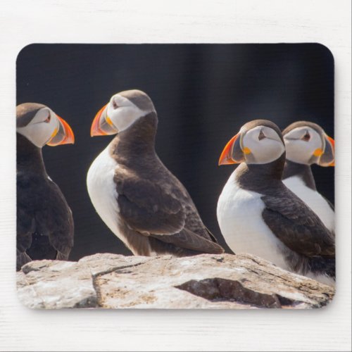 Flock of Puffins Mouse Pad