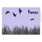 Flock of Ravens (Front Horizontal)