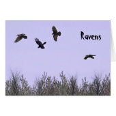 Flock of Ravens (Front Horizontal)