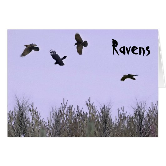 Flock of Ravens Cards (Front Horizontal)