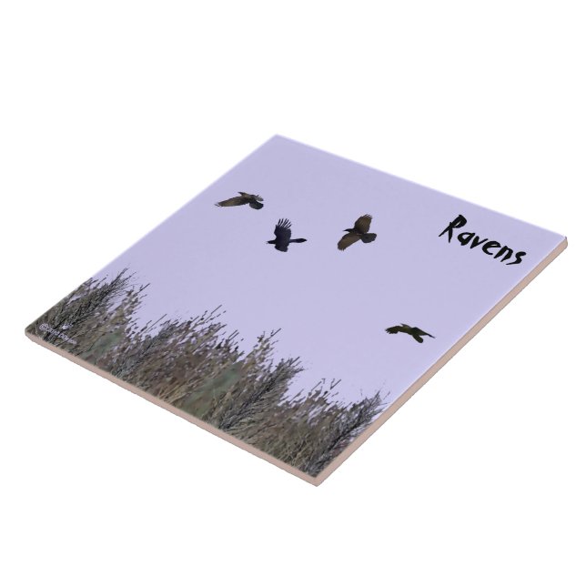 Flock of Ravens Ceramic Tile (Side)