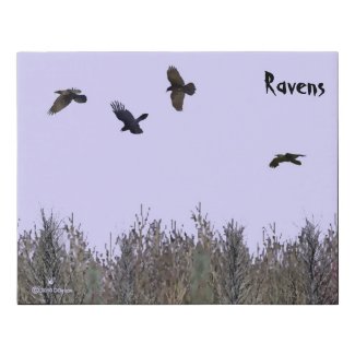 Flock of Ravens