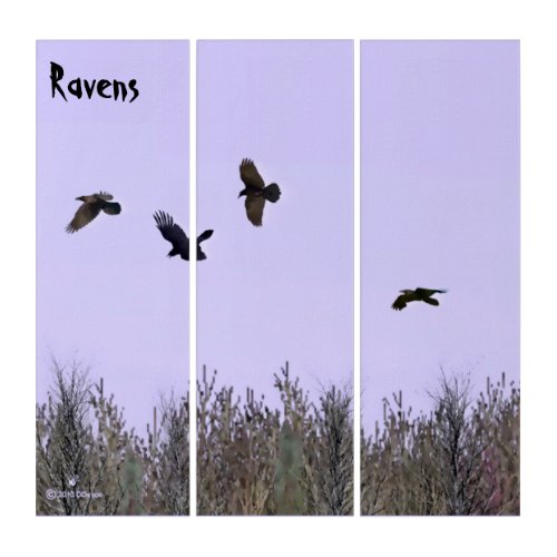 Flock Of Ravens Triptych