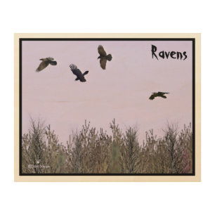 Flock of Ravens Wood Wall Art