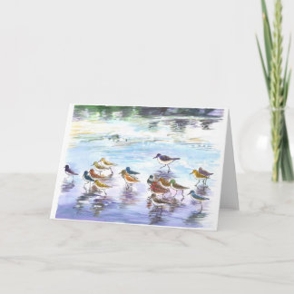 Flock of sandlings on the beach card