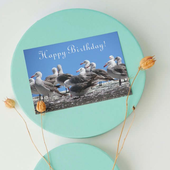 Flock of Seagulls From All Birthday Card (In Situ)