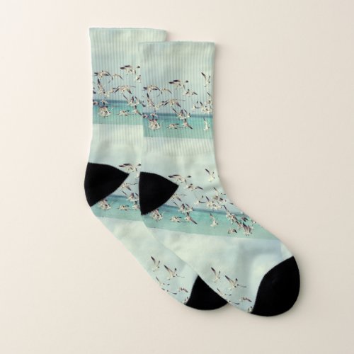 Flock of Seagulls Socks