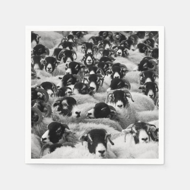 Flock of Sheep Black and White Napkins (Front)