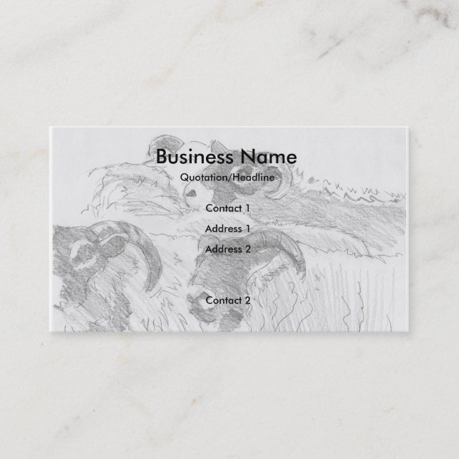 Flock of Sheep Drawing Business Cards (Front)