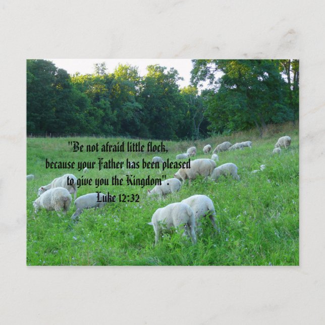 Flock of Sheep-Easter with Psalm Holiday Postcard (Front)