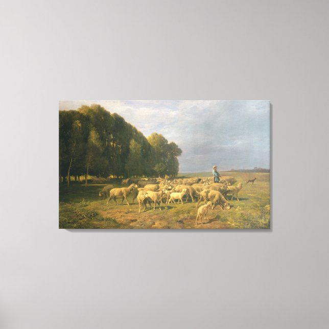 Flock of Sheep in a Landscape Canvas Print (Front)