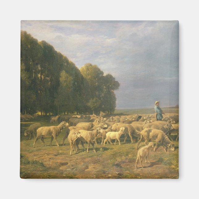 Flock of Sheep in a Landscape Magnet (Front)