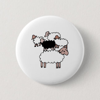 flock of sheep with black sheep pinback button