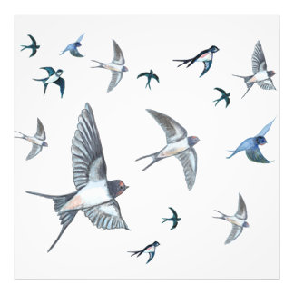  Flock of swallow birds flying Wood Photo Print