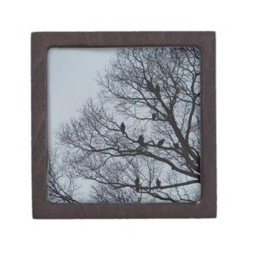 Flock of Vultures in a winter tree Gift Box
