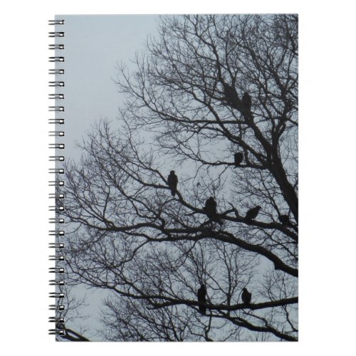 Flock of Vultures in a winter tree Notebook