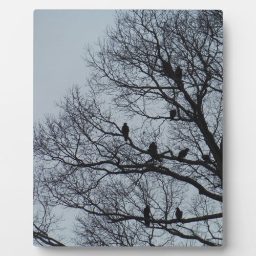 Flock of Vultures in a winter tree Plaque