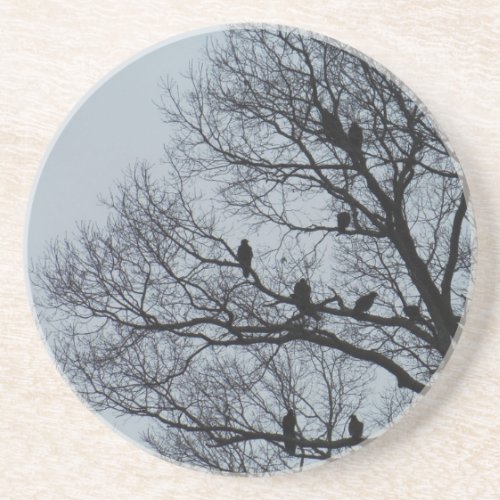 Flock of Vultures in a winter tree Sandstone Coaster