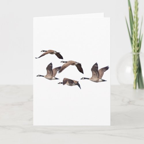 Flock of wild geese card
