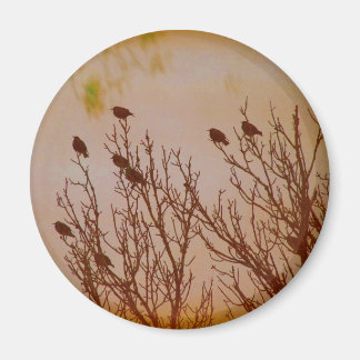 Flock Together Magnet