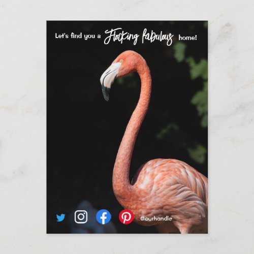 flocking fabulous real estate agent marketing postcard