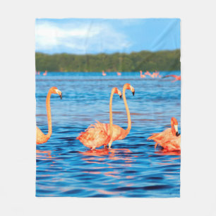 Flocks of beautiful pink flamingos in the Celestun Fleece Blanket