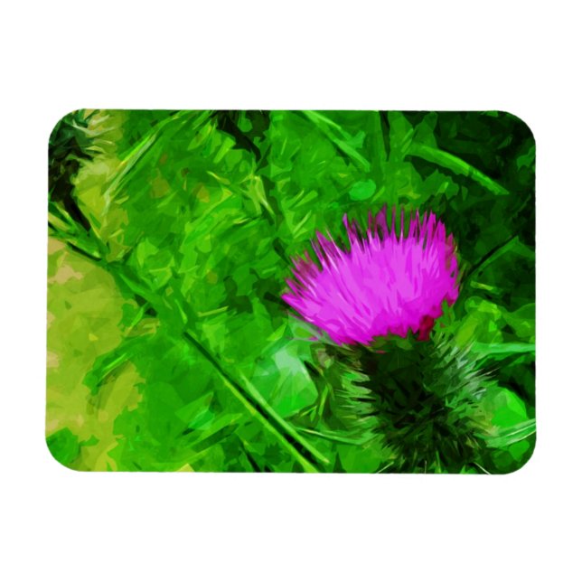 Flodmans Thistle Purple Wildflower Abstract Magnet (Horizontal)