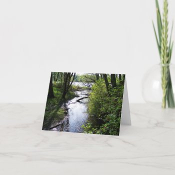 Flooded Trail Card by northwest_photograph at Zazzle